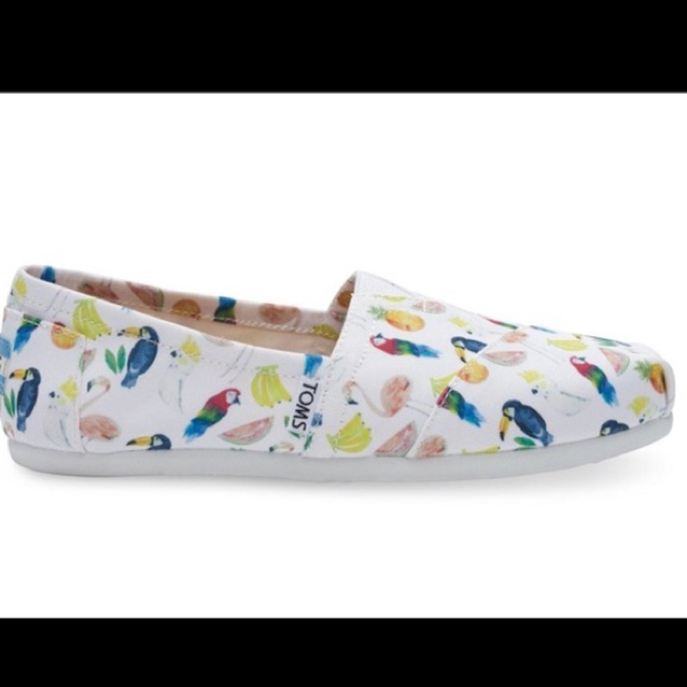 Toms classic white canvas printed parrots